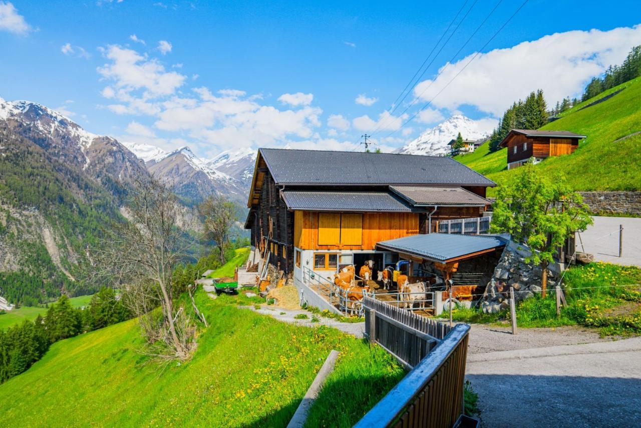 Appartement Seppenbauer Heiligenblut Esterno foto